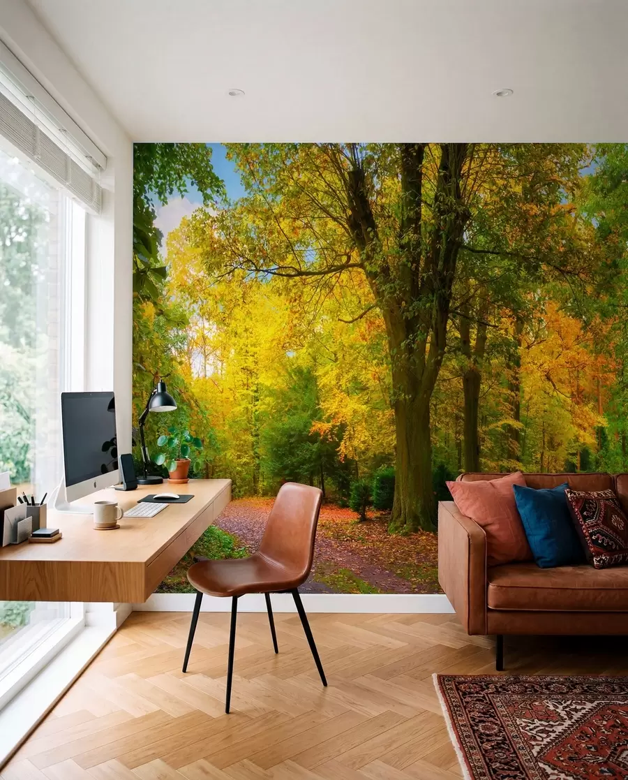 murales de pared Comienzo de otoño u08547