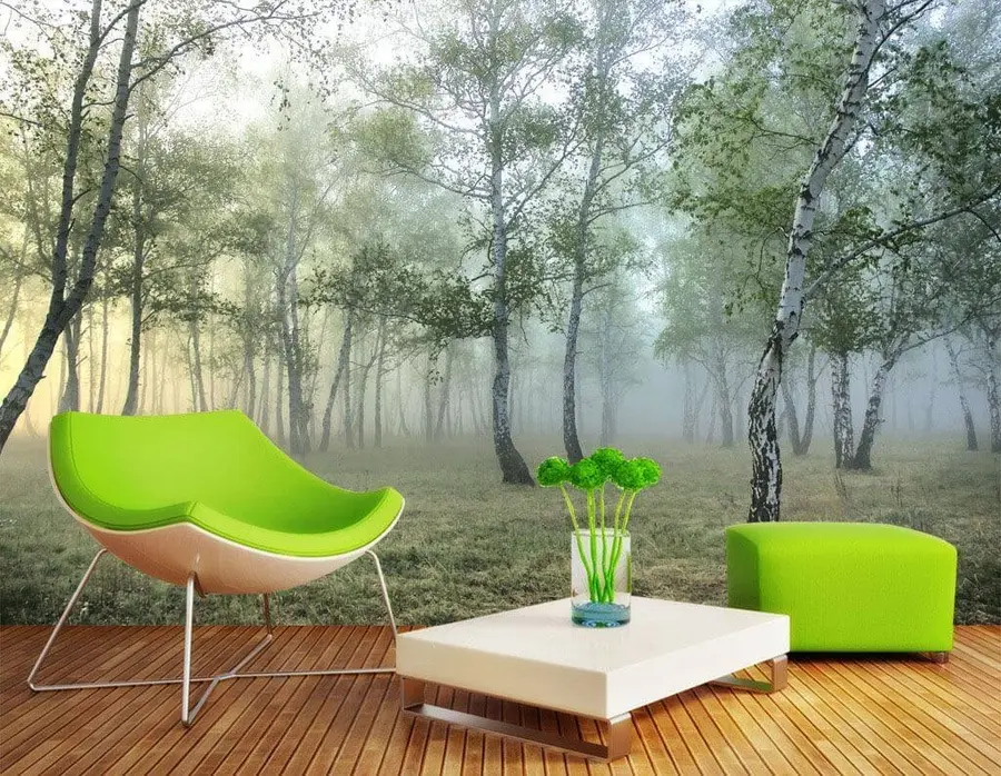 murales de pared Bosque de abedules de niebla u25820