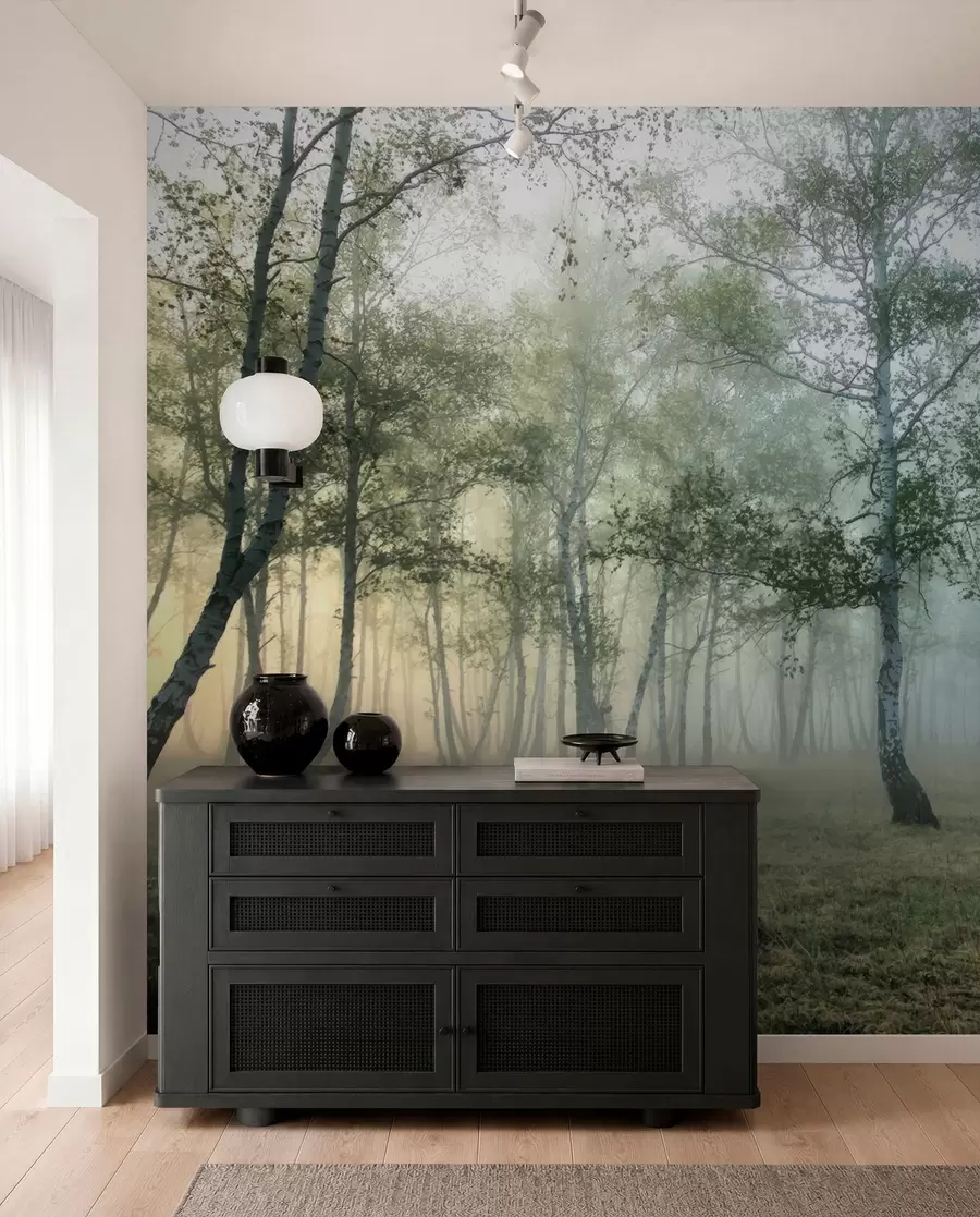 murales de pared Bosque de abedules de niebla u25820