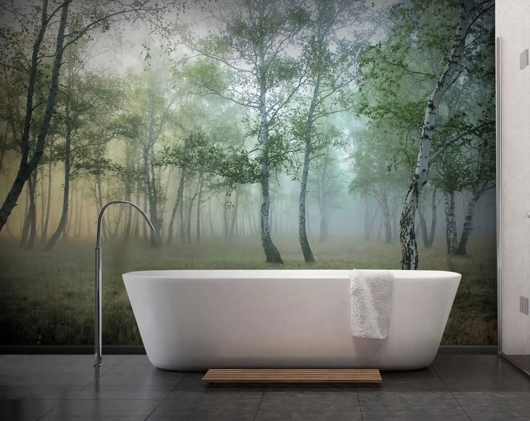 murales de pared Bosque de abedules de niebla u25820