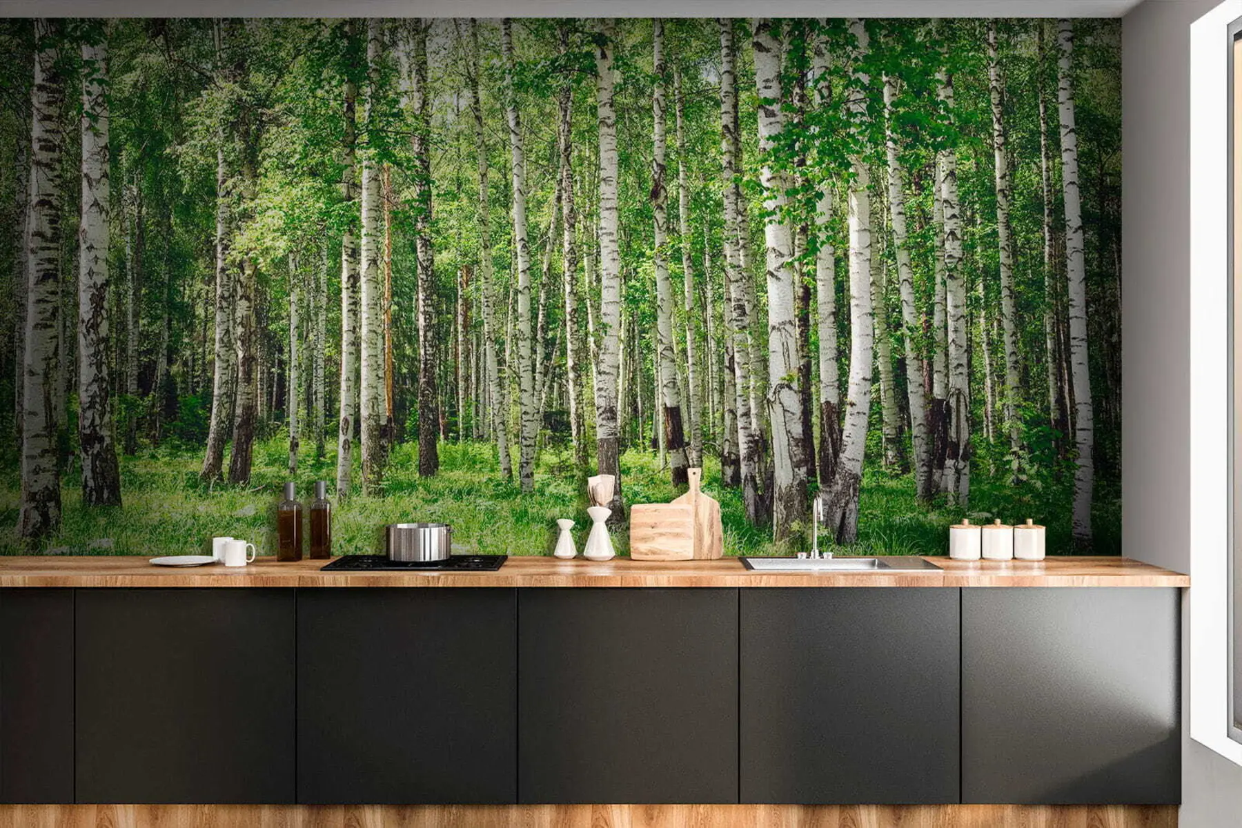 murales de pared Bosque de abedules u52530