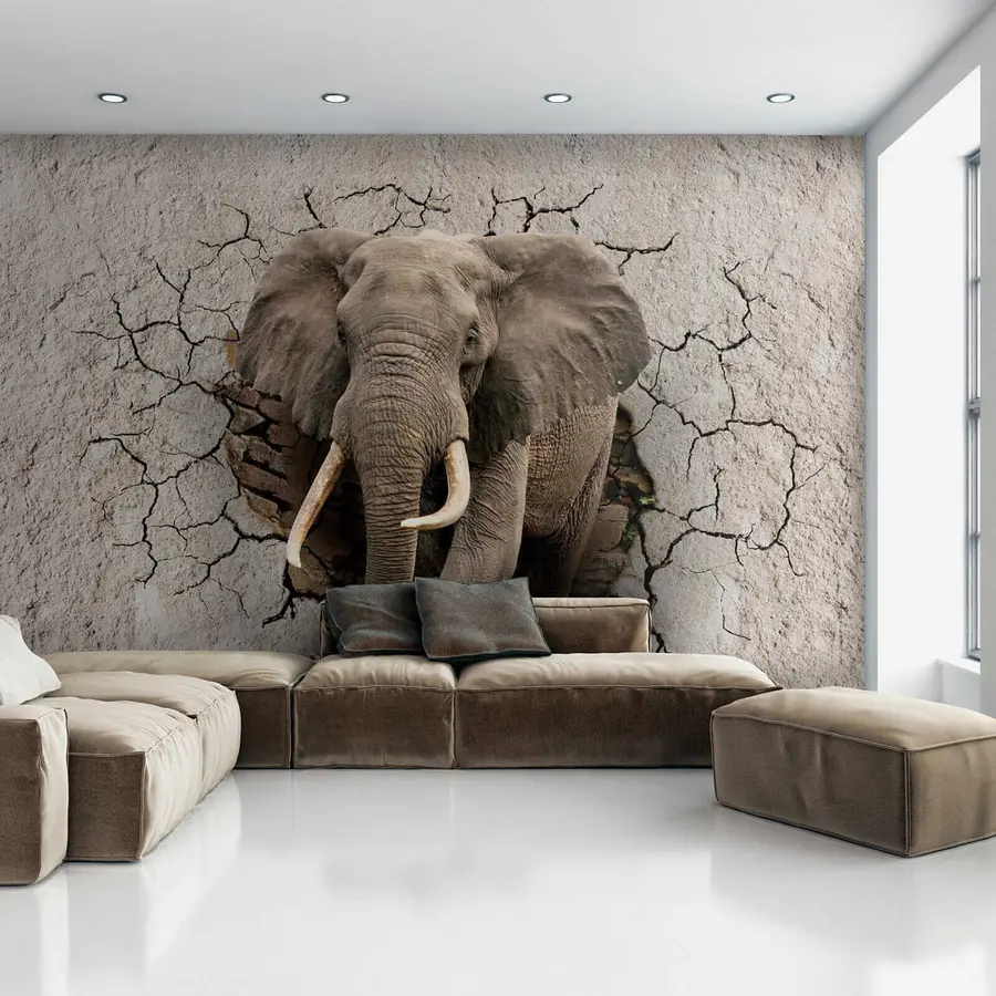 murales de pared Elefante atraviesa la pared u77854