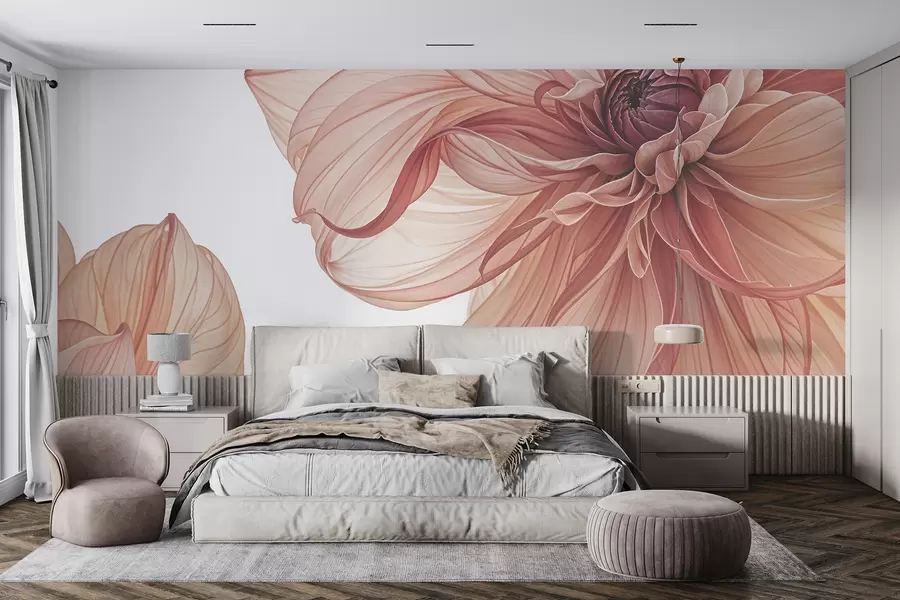 murales de pared Primer plano de varias flores grandes de dalia de color rojo vivo con pétalos suaves y delicados sobre un fondo blanco w08257