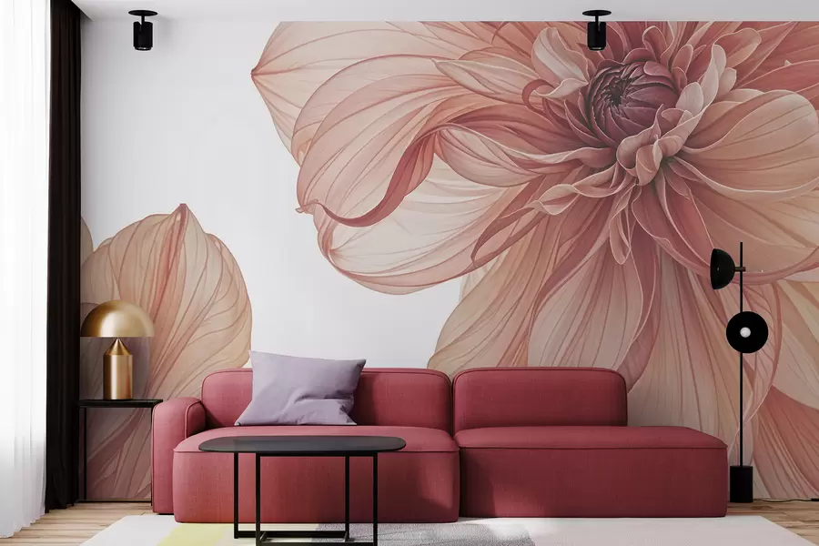 murales de pared Primer plano de varias flores grandes de dalia de color rojo vivo con pétalos suaves y delicados sobre un fondo blanco w08257