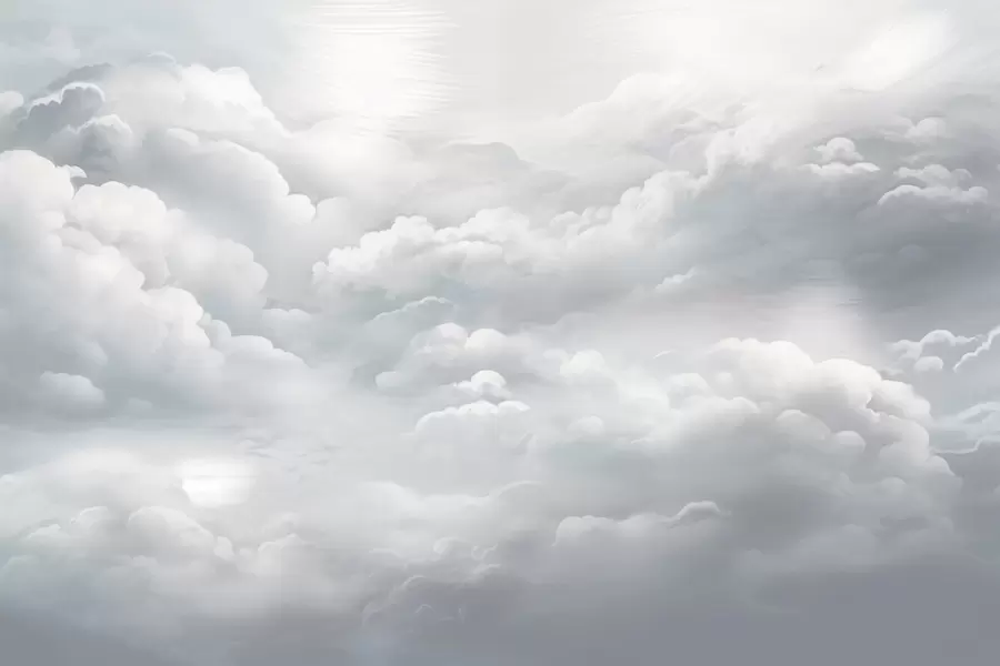 murales de pared Nubes grises w02189v1