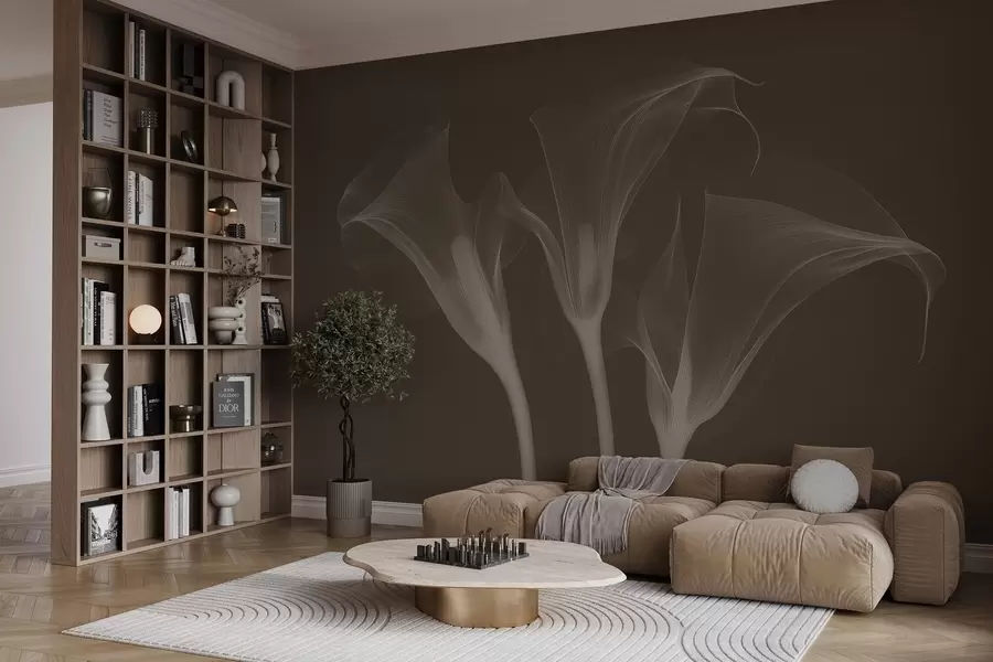 murales de pared flores de Zantedeschia transparentes sobre fondo oscuro w02632v1