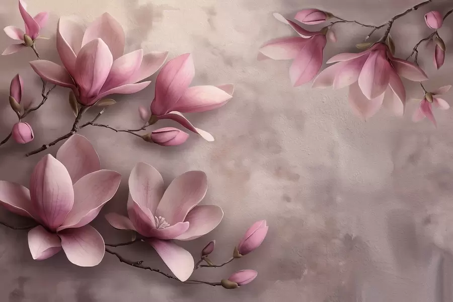 murales de pared Delicadas magnolias rosas sobre un muro de hormigón w08636