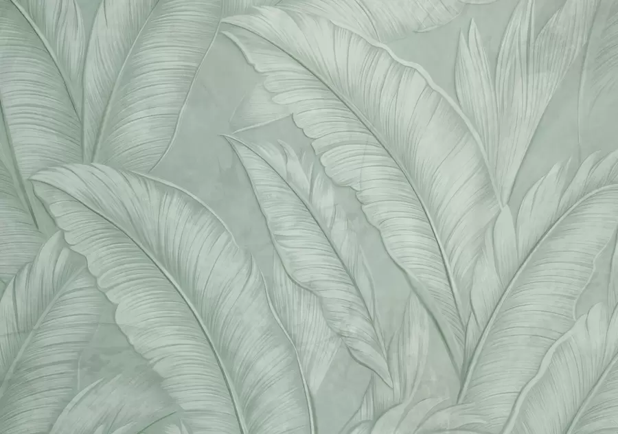 murales de pared Grandes hojas tropicales de gran textura y detalle en un color verde monocromático de estilo loft w08772v1