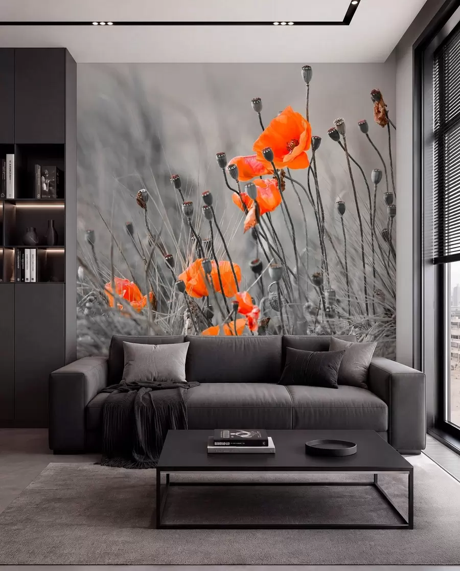 murales de pared amapolas de campo u53411