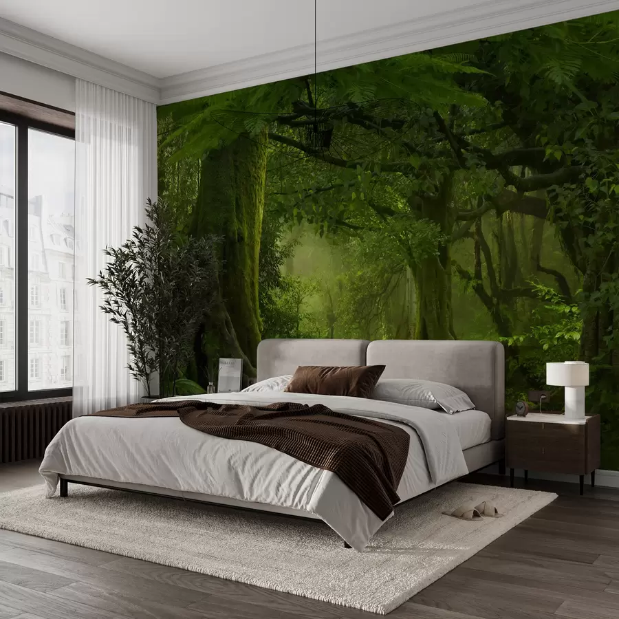 murales de pared Bosque antiguo u56167