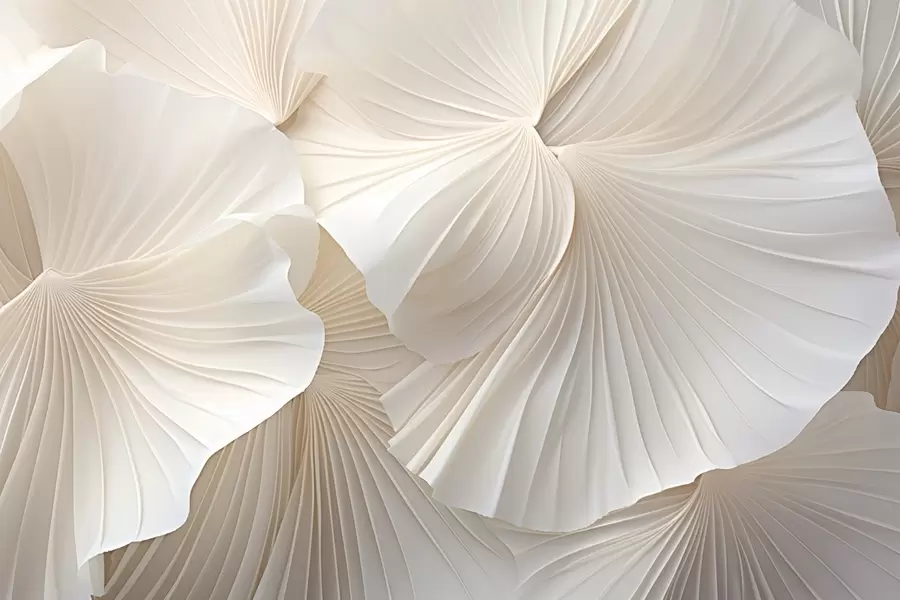 murales de pared pétalos, flores, blanco, crema, textura, ternura, decorativo w04216