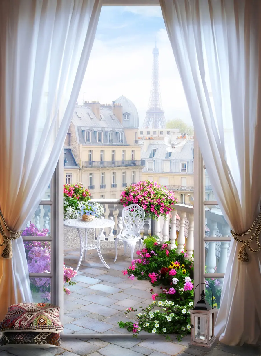 murales de pared París, vista desde la ventana u79425