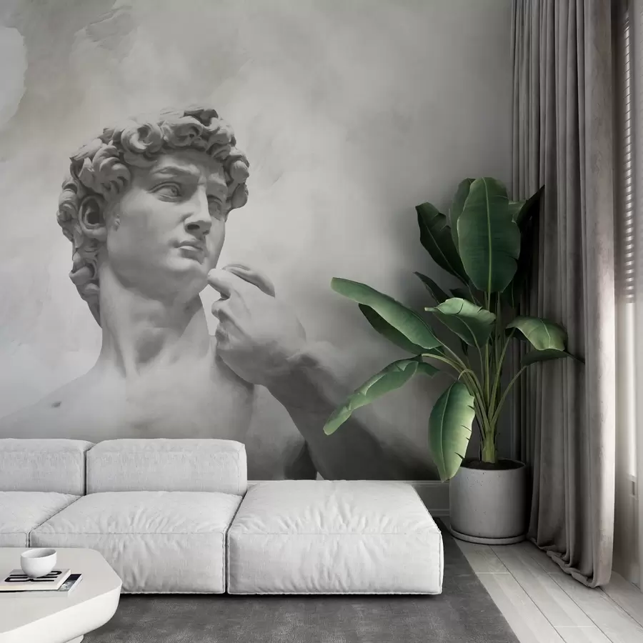 murales de pared Espíritu renacentista w04767