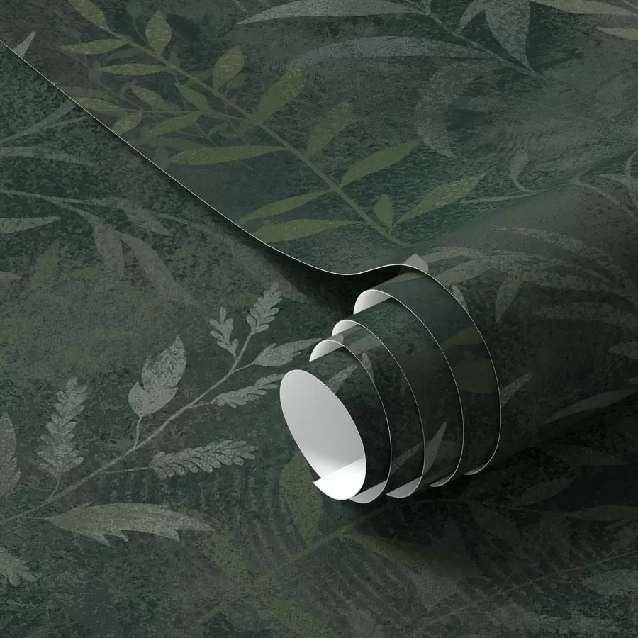 murales de pared Fondo verde oscuro con ramas de hojas translúcidas a00888