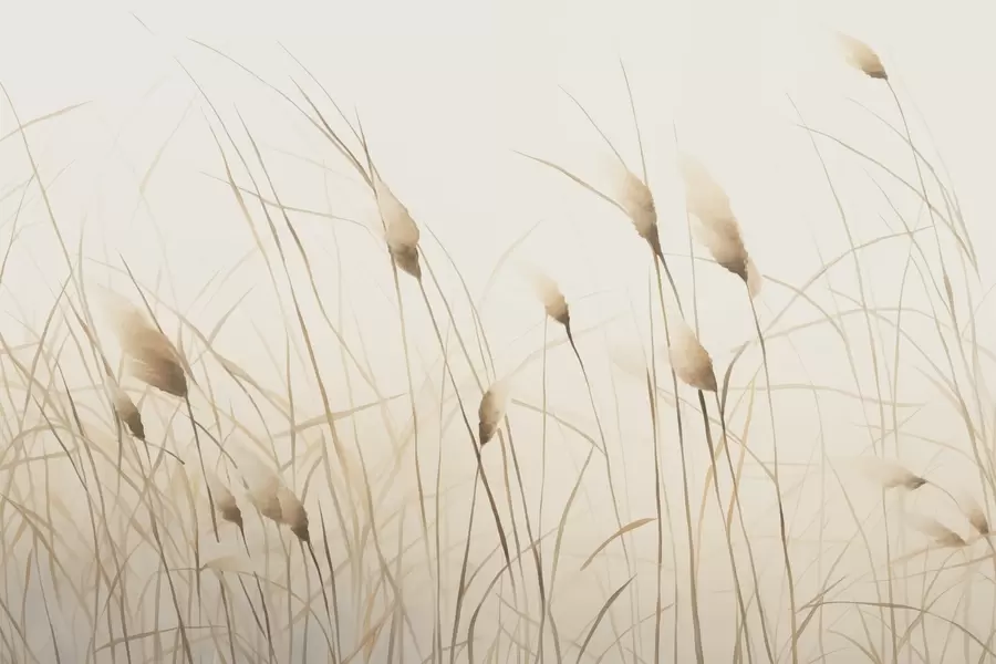 murales de pared Pampa w04526