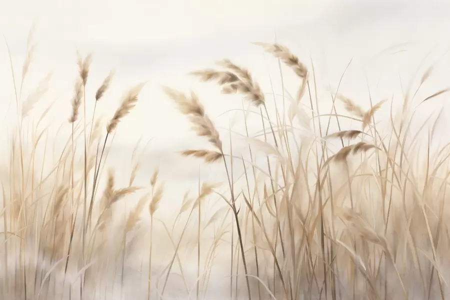 murales de pared Hierba seca alta y texturizada con espigas de trigo en el campo sobre un fondo suave y pálido. w09648