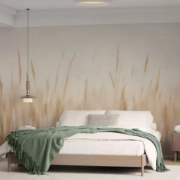 Últimas creaciones
