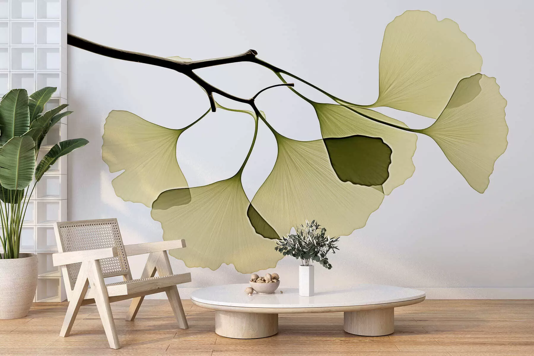 murales de pared Hojas de ginkgo en forma de abanico w09968