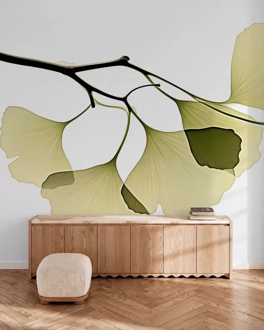 murales de pared Hojas de ginkgo en forma de abanico w09968