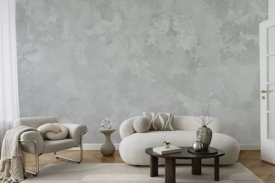 murales de pared Textura en gris perla claro con suaves transiciones tonales difuminadas w05814v1