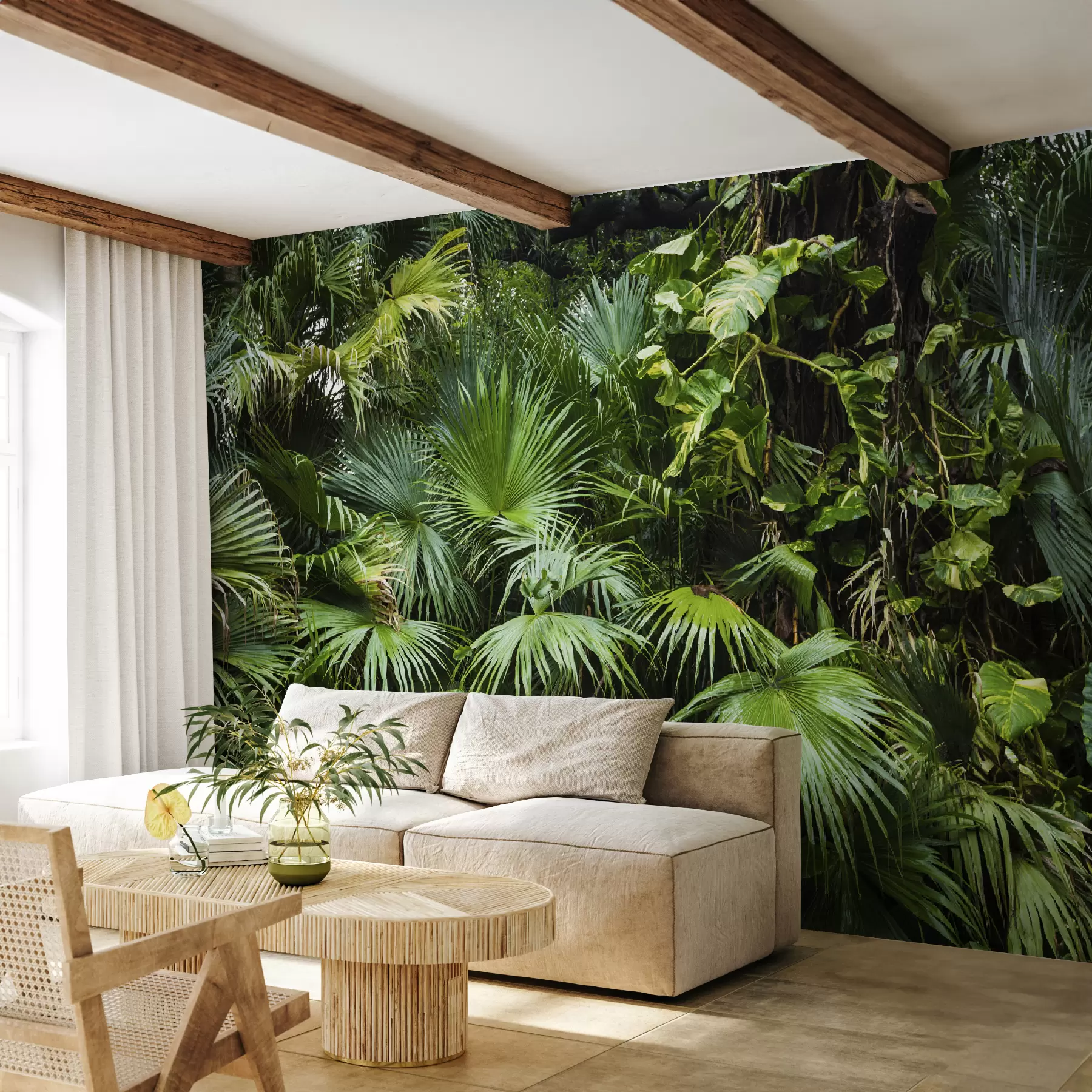 murales de pared Hojas mojadas en la selva u93616