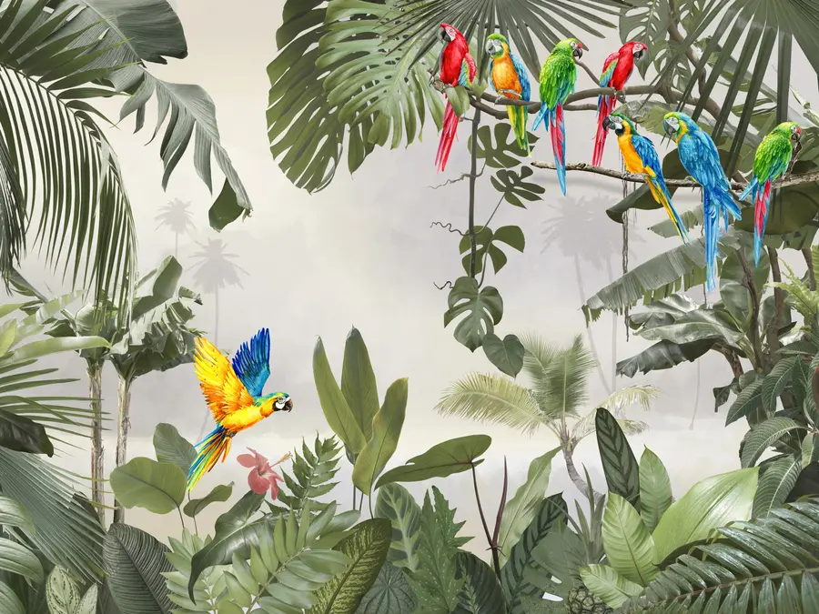 murales de pared Royas en ramas en el bosque tropical u94072