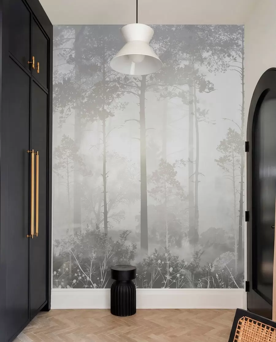 murales de pared Bosque en la niebla u94439