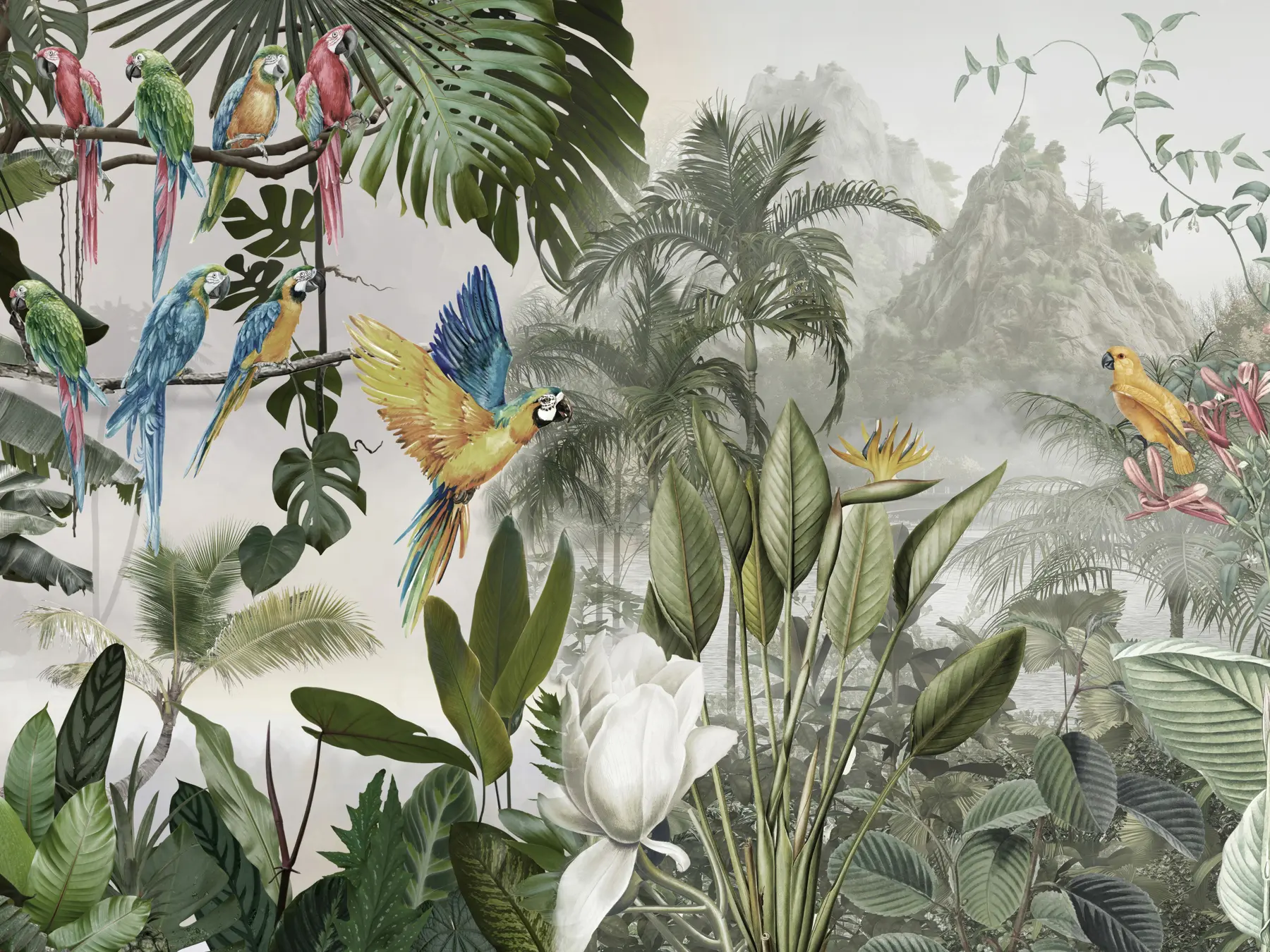 murales de pared Loros en la selva tropical u95693