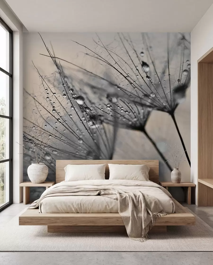 murales de pared Dientes de león con gotas de aguas grises u57557v2