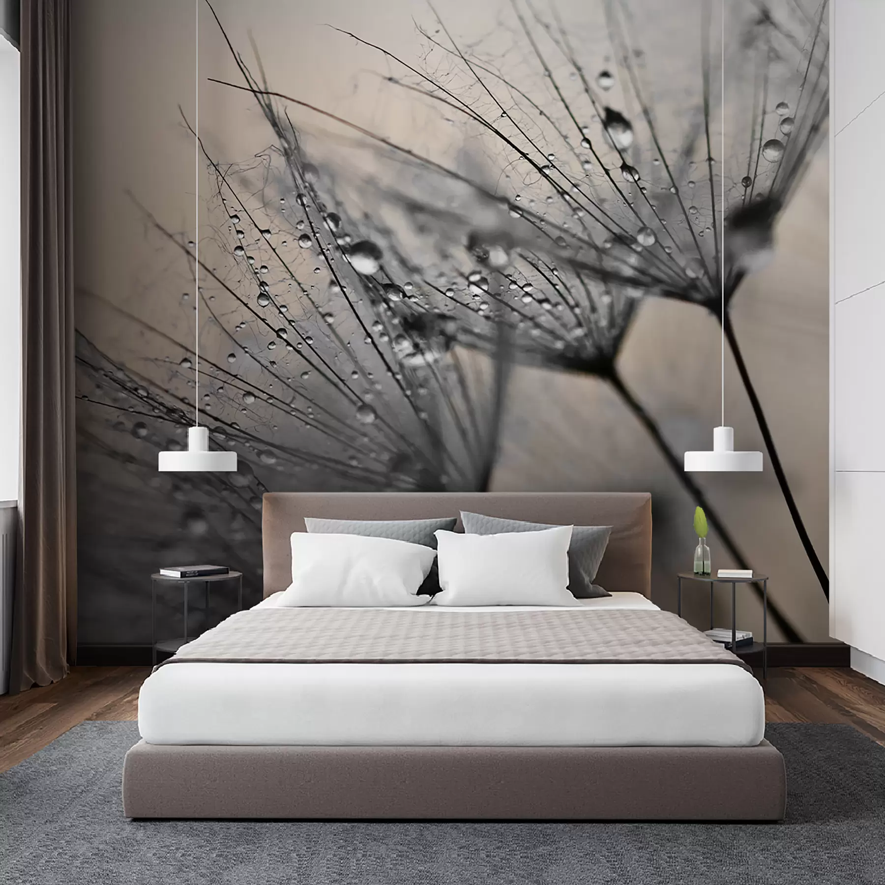 murales de pared Dientes de león con gotas de aguas grises u57557v2