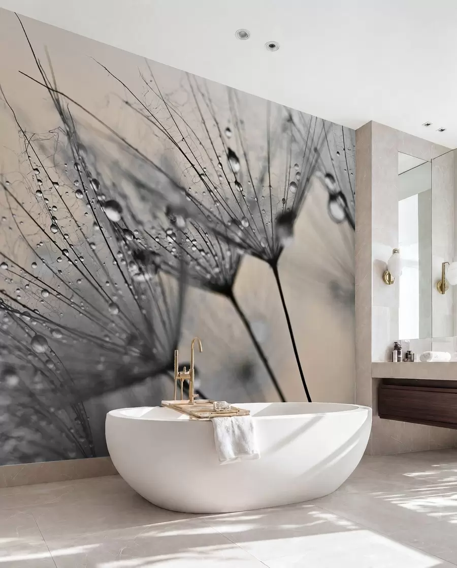 murales de pared Dientes de león con gotas de aguas grises u57557v2