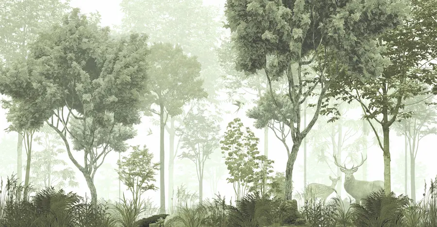 murales de pared Bosque mágico en verde u72134v2