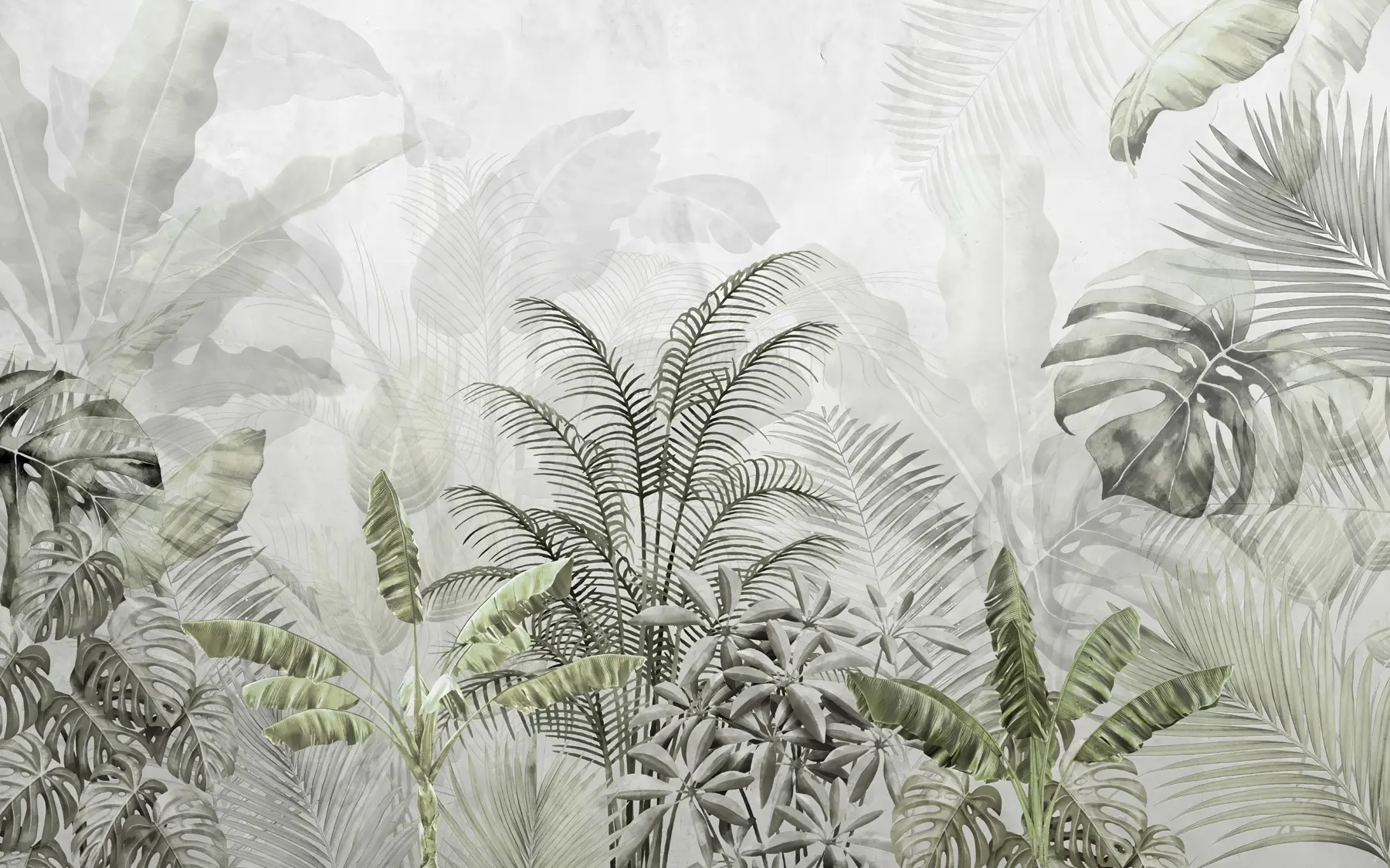 murales de pared Palmeras de color gris en colores verdes u71284v3