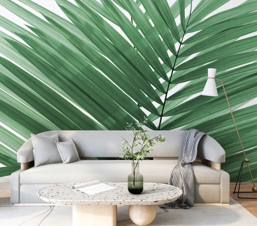 murales de pared Hojas de palmera u97550v2